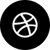 icon_website